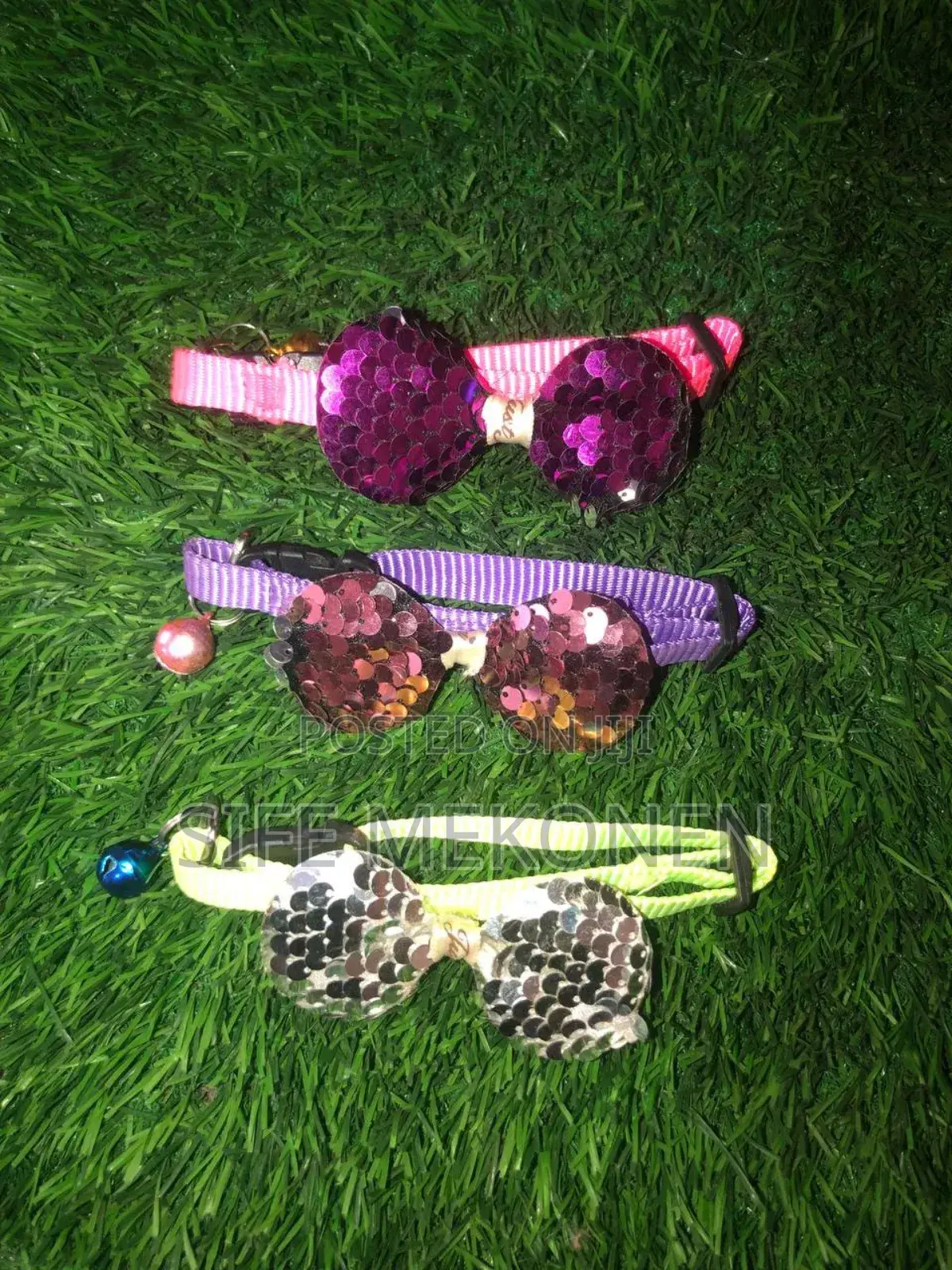 Small Dog Collars