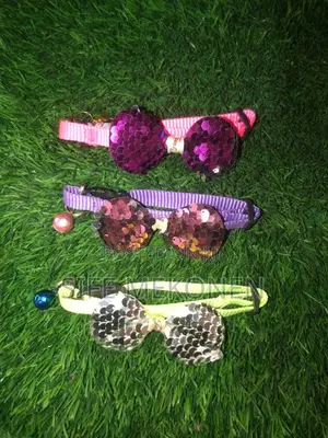 Photo - Small Dog Collars
