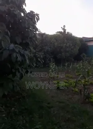 3bdrm Room & Parlour in Adama for rent