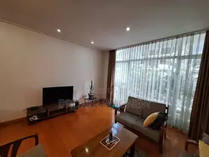 Furnished 3bdrm Apartment in Bole for rent