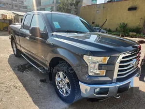 Ford F-150 2016 Gray