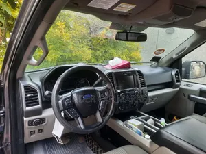 Ford F-150 2016 Gray