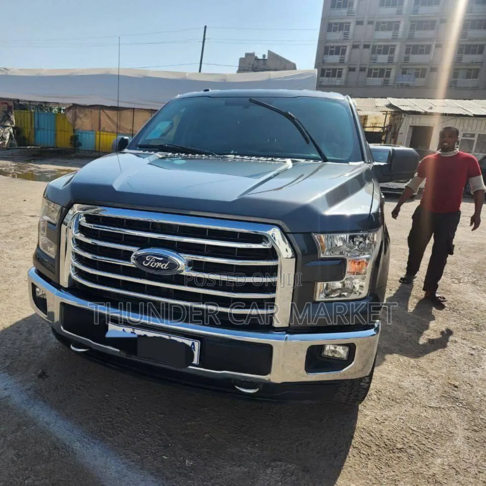 Ford F-150 2016 Gray