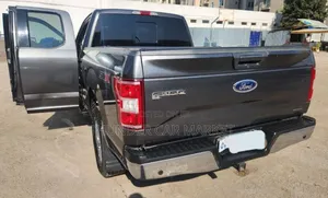 Ford F-150 2016 Gray