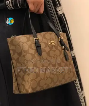 COACH Ladies Hand Bag