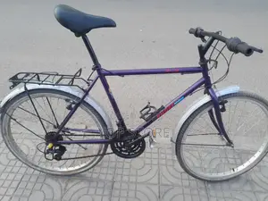 Phoenix Bicycle