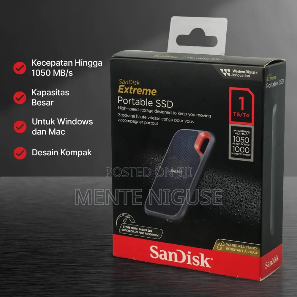Sandisk Portable SSD