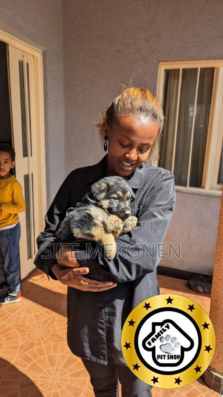 1-3 months Male Purebred German Shepherd