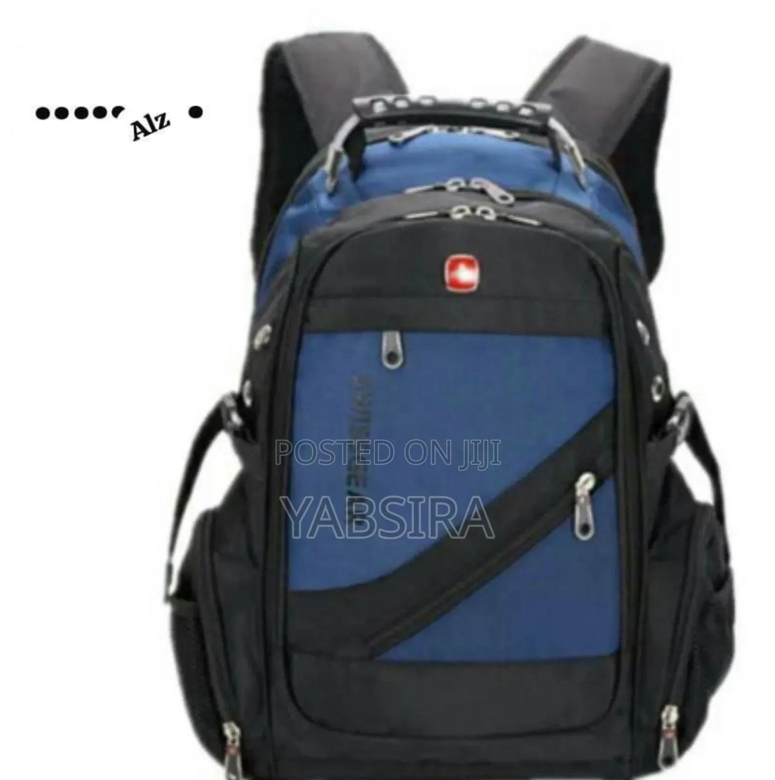 Swissgear Backbag