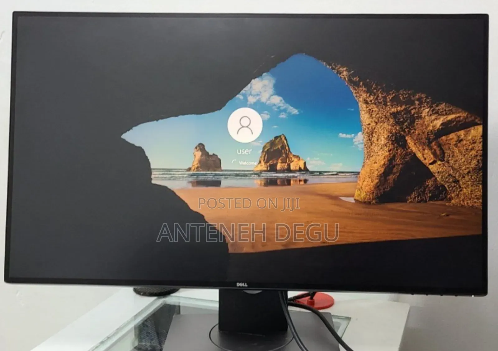 Dell Fram Less Monitor