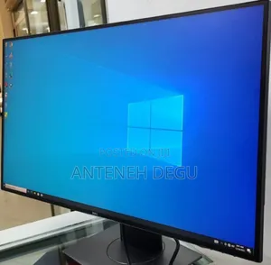 Dell Fram Less Monitor