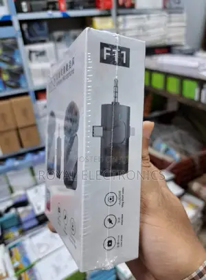 Dual Wireless Microphone iPhone Type C Noise Cancellation