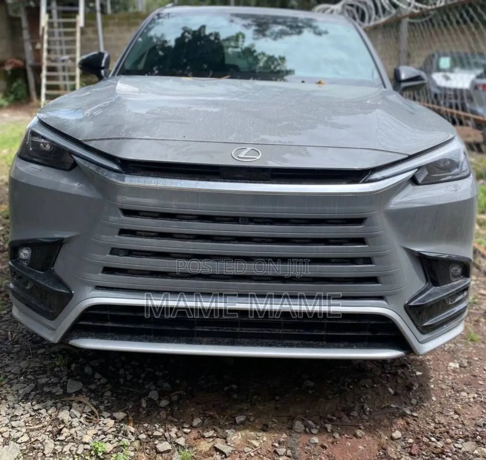 New Lexus TX 2024 Gray