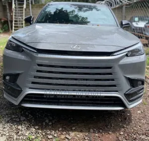 New Lexus TX 2024 Gray