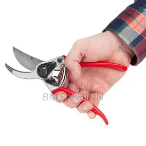 Hand Tools Garden Scissor for Flowers
