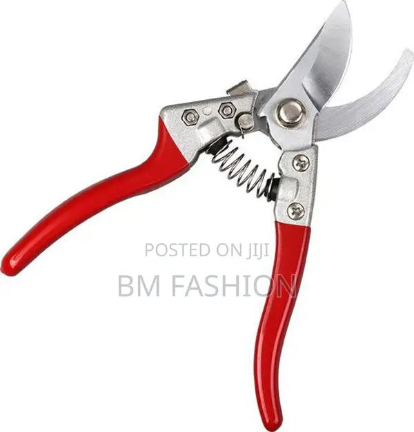 Hand Tools Garden Scissor for Flowers