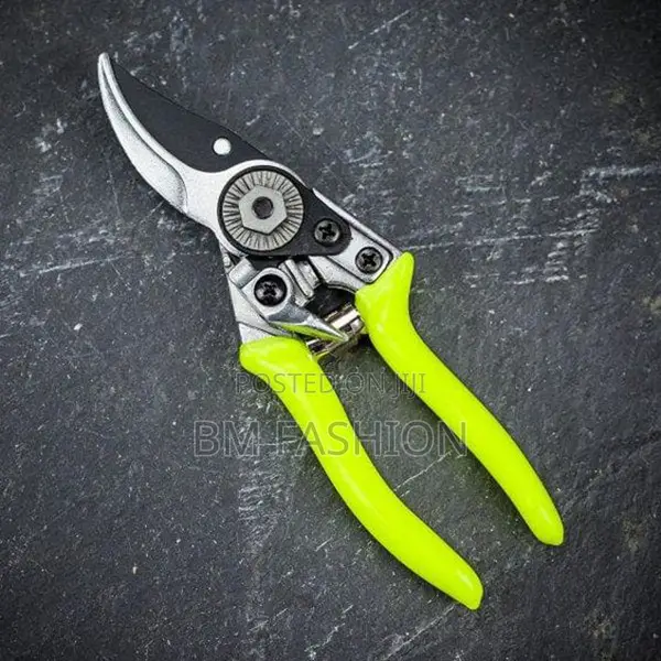 Hand Tools Garden Scissor for Flowers