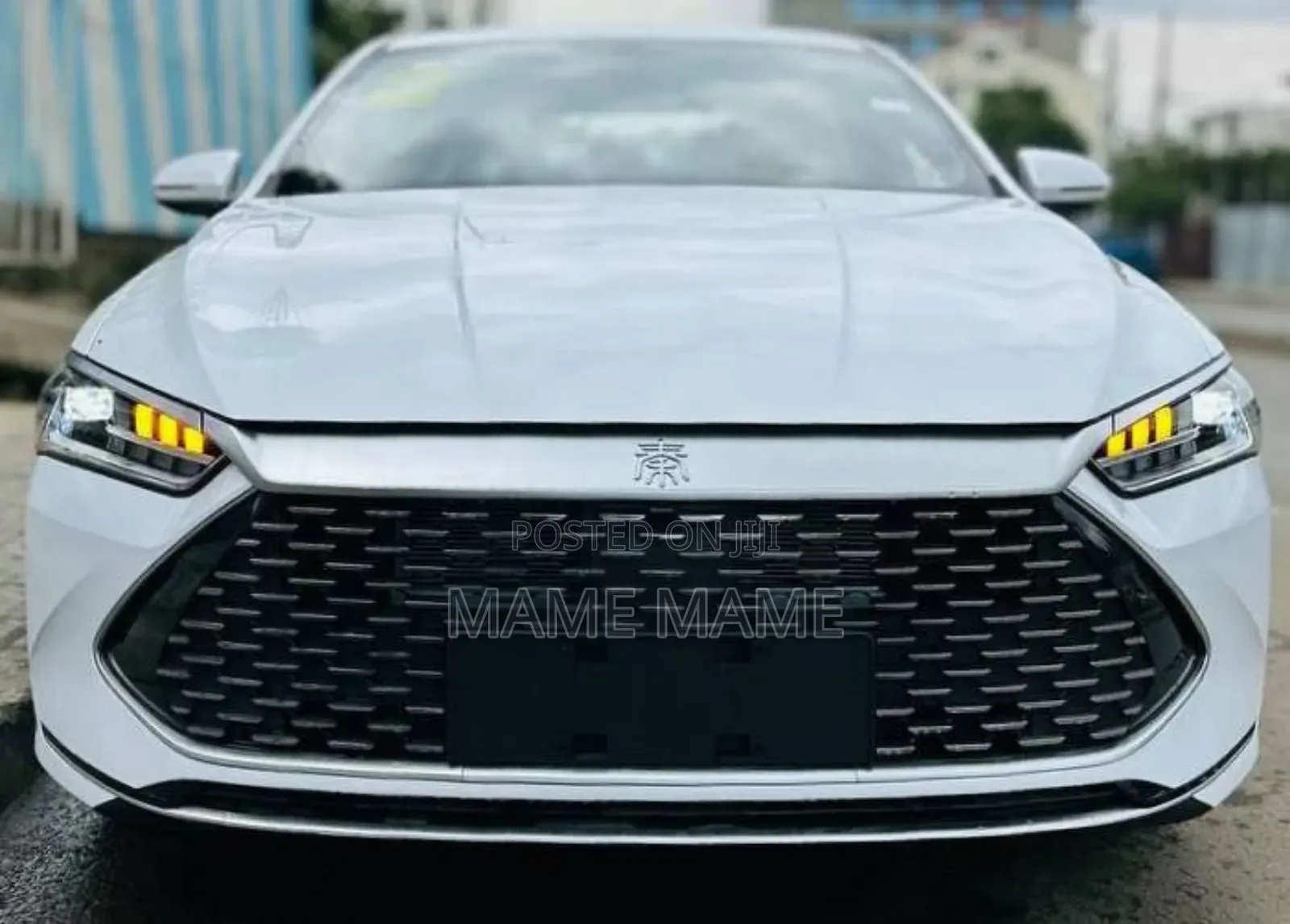 New BYD Seal DM-i 2024 White