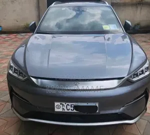 New BYD Song Plus 2024 Gray