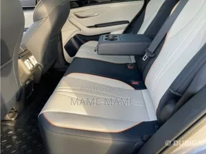 New BYD Song Plus 2023 Gray