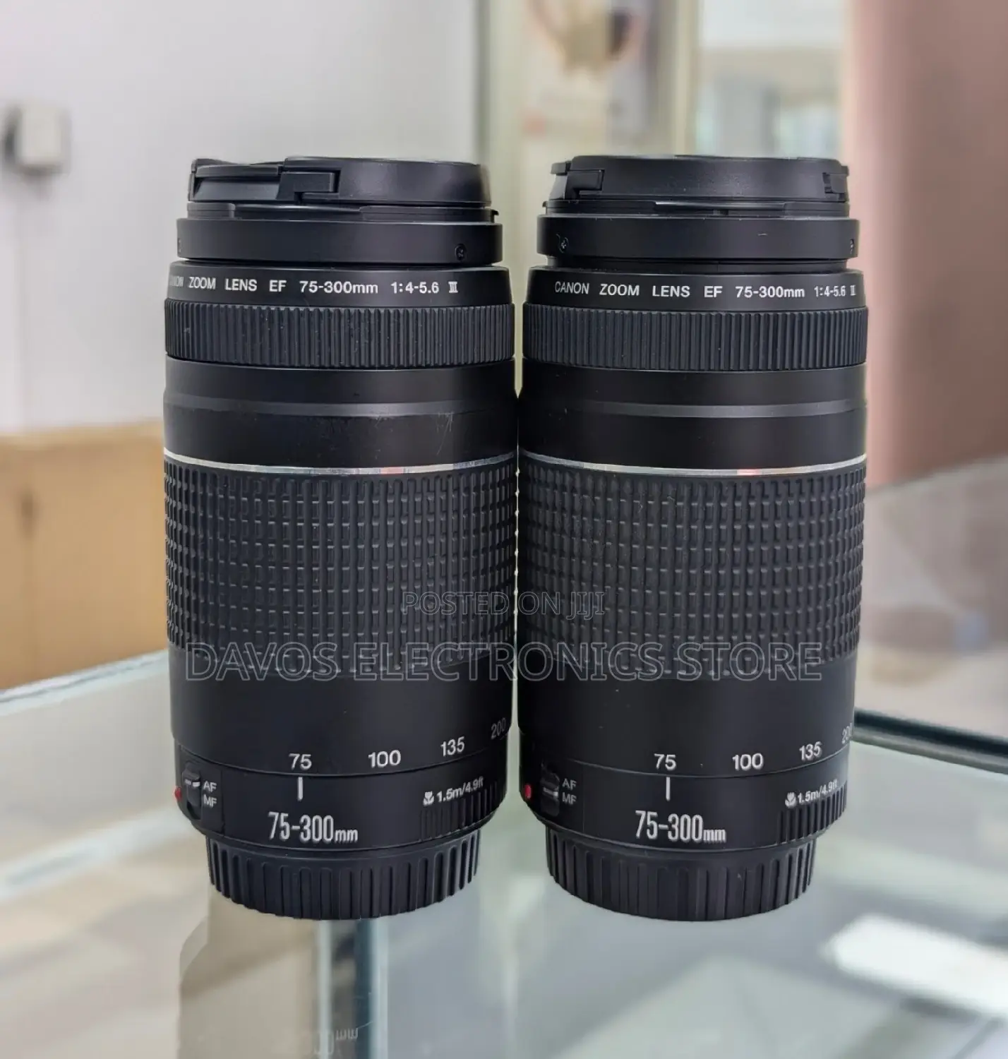 Canon Ef 75-300mm F/4-5.6 Iii