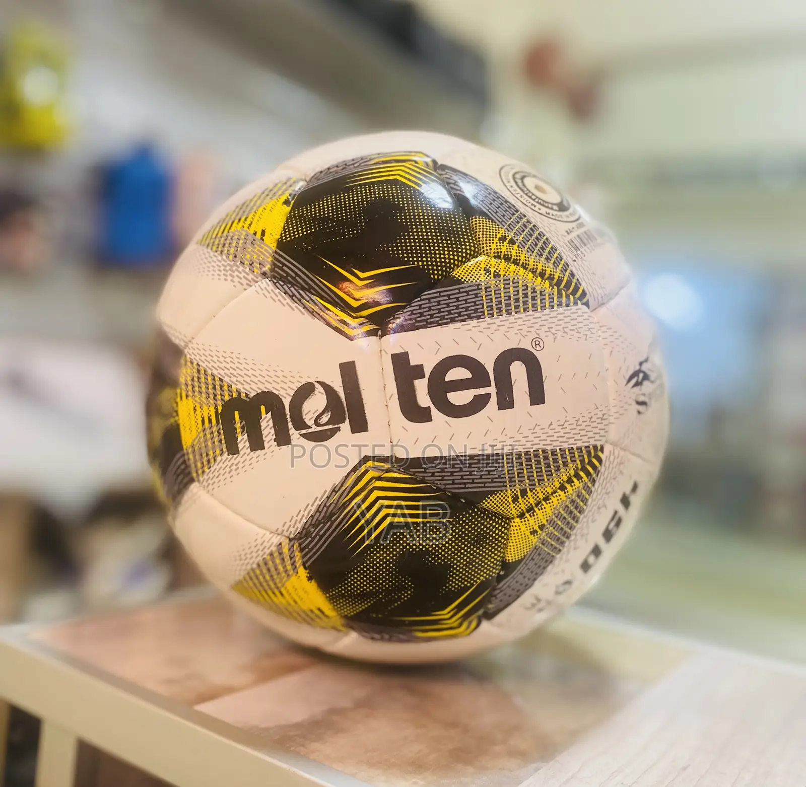 Molten Soccer Ball
