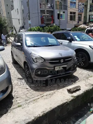 Suzuki Celerio 2019 Gray