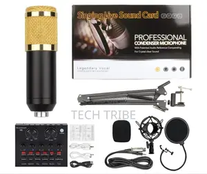Professional Condenser Microphone With Free Delivery