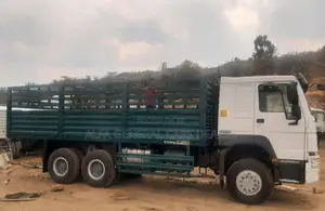 Cino Casono 4.8 Million Bank Yalebet Cash 5 Million