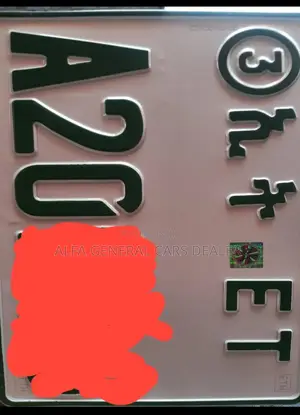 Cino Casono 4.8 Million Bank Yalebet Cash 5 Million