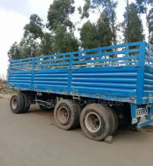 Cino Casono 4.8 Million Bank Yalebet Cash 5 Million