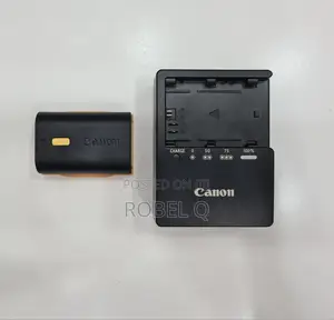 Photo - Original Canon Battery and Charger