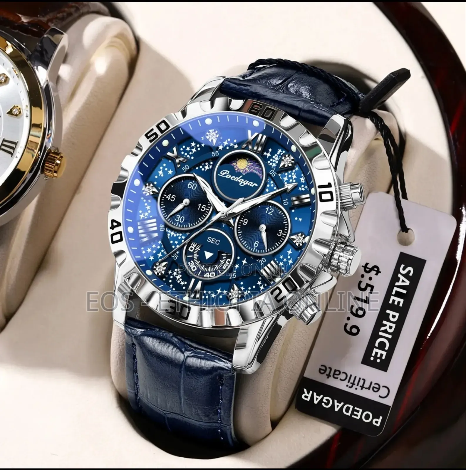 POEDAGAR Luxury Leather Band Wristwatches For Men [Preorder]