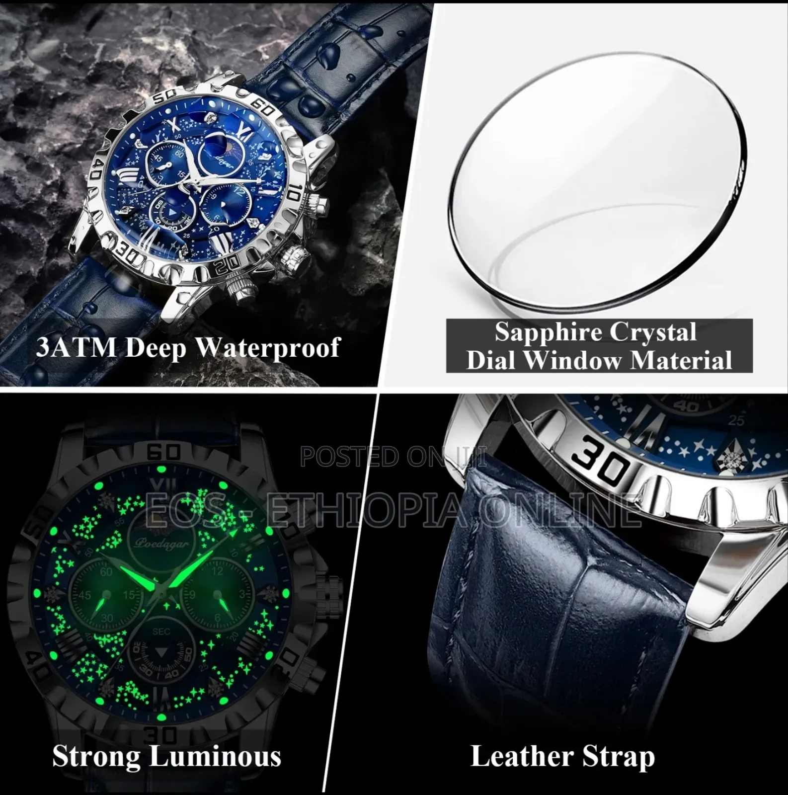 POEDAGAR Luxury Leather Band Wristwatches For Men [Preorder]