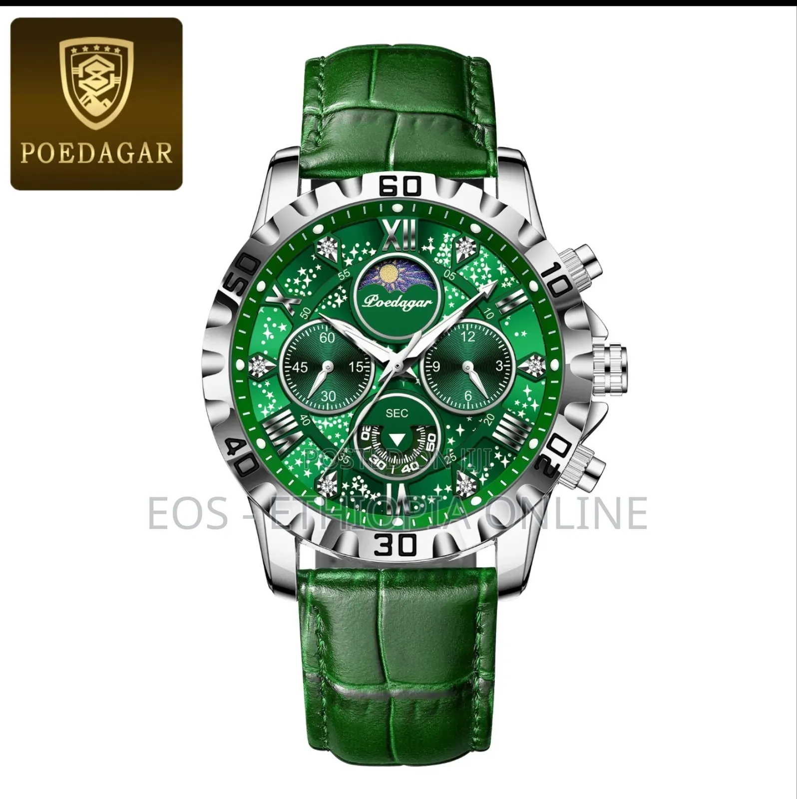 POEDAGAR Luxury Leather Band Wristwatches For Men [Preorder]