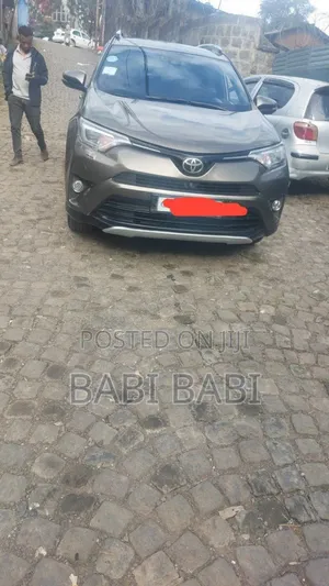 Photo - Toyota RAV4 2018 Brown