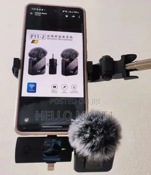 F11-2 Mini Microphone
