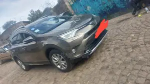 Toyota RAV4 2018 Brown