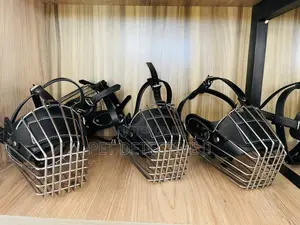 Photo - Dogs Muzzle