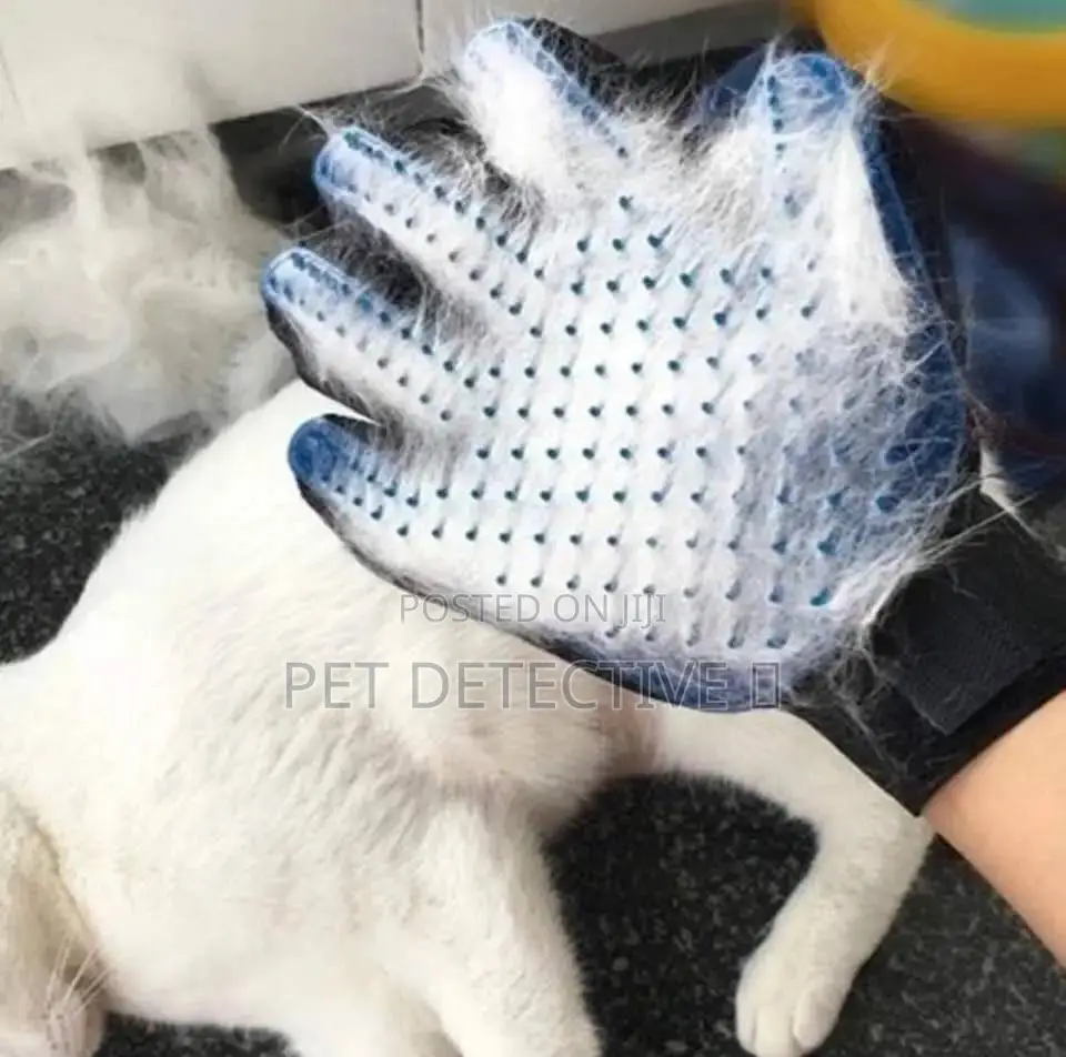 Grooming Glove