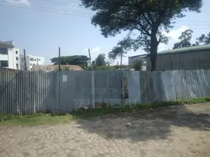 1bdrm House in Alem Bank, Akaky Kaliti for sale