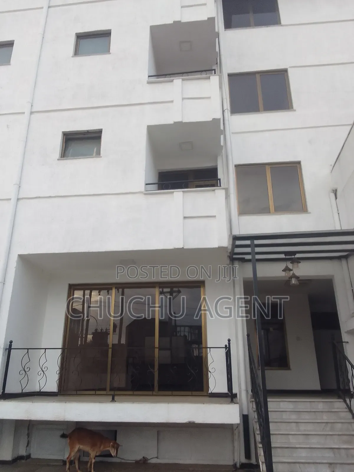 Rent Building for Clinic, Hospital, Office, Motel, Hotel