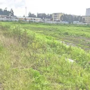 ለሽያጭ የቀረብ ባዶ ቦታ