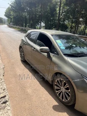 Toyota Corolla 2020 Gray