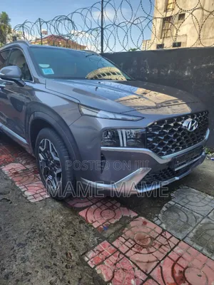 New Hyundai Santa Fe 2023 Gray