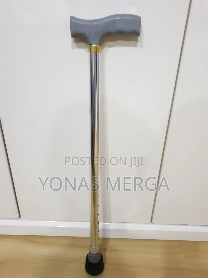 Imported and High Quality Walking Stick/Easycare EC920L