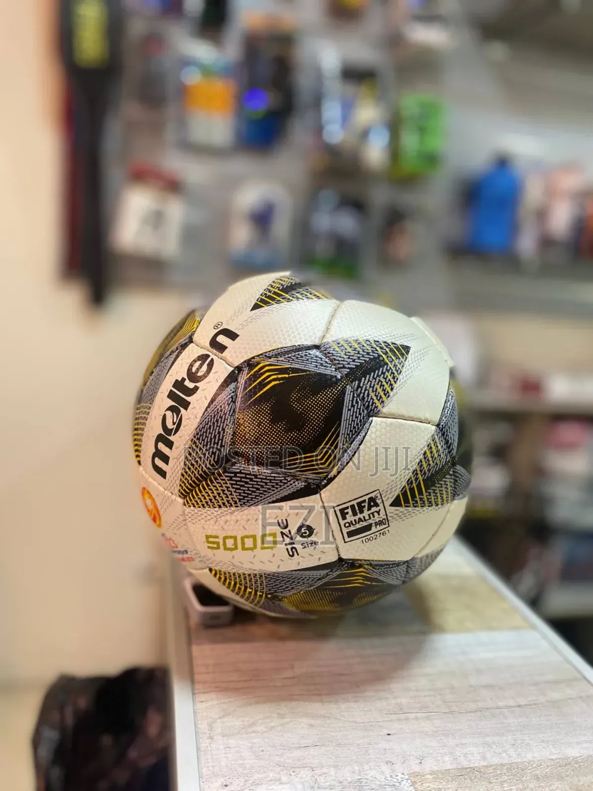 Molten Fifa Quality Balls