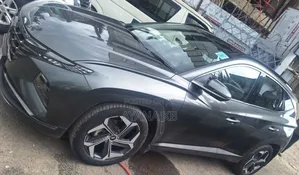 New Hyundai Tucson 2021 Gray