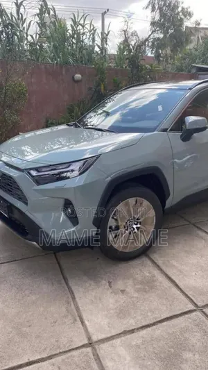 New Toyota RAV4 2022 Gray