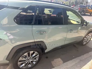 New Toyota RAV4 2024 Gray